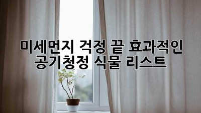 미세먼지 걱정 끝! 효과적인 공기청정 식물 리스트🌿