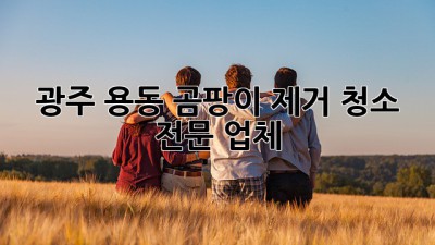 광주 용동 곰팡이 제거 청소 전문 업체
